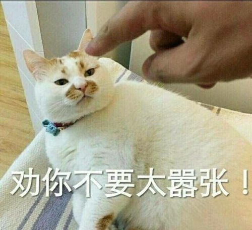  注意台风兰恩生成,或将成超强台风未来几天,贵港将...