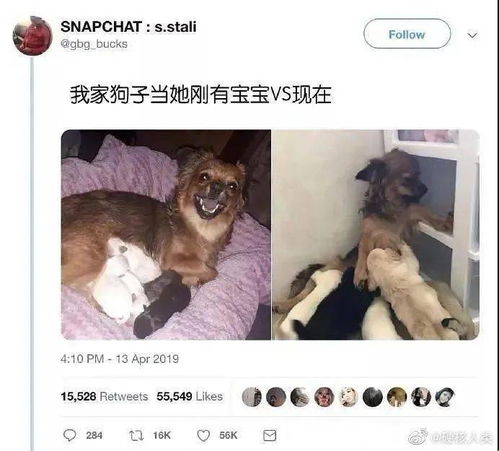  沙雕网友的朋友圈有多好笑你能忍住算我输,个个是人才