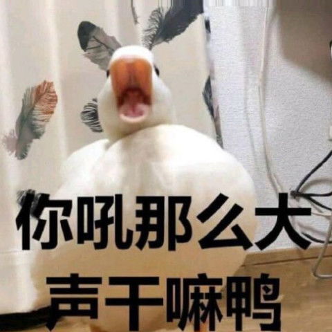  最近超火的聊天表情,调皮又犀利,看到最后一张都笑喷了
