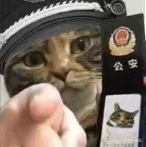  你很得意啊