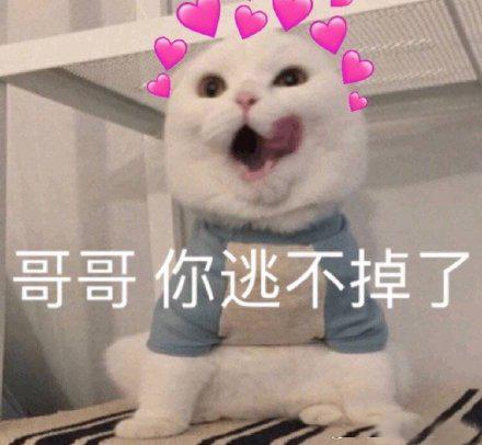  有没有适合情侣之间发的表情包
