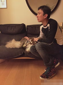  王思聪为爱犬王可可做美甲表情宠溺