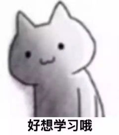  世界高智商俱乐部最小成员仅3岁,智商162爱因斯坦都要靠边站