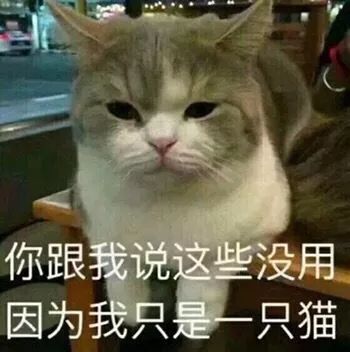  这些德国小众护肤品价格不过百,还好用到流泪