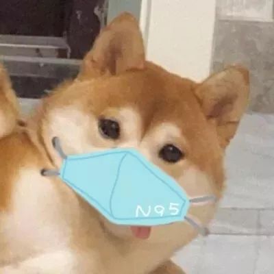  你的微信头像该换了100张口罩头像