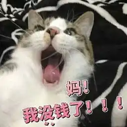  女孩哭穷表情包别人都是用香奈儿包lv包宝格丽包,而我用表情包