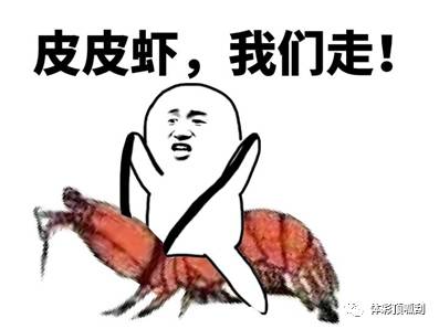  2017年流行语顶呱刮