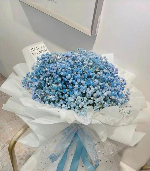  心理测试凭直觉选择一款满天星,测测你是万人迷还是万人嫌