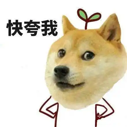 稳稳的接住柴犬表情包你