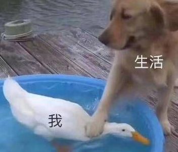 心疼的表情包12个字文字