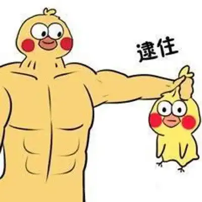  肌肉大黄鸡与小黄鸡系列表情包