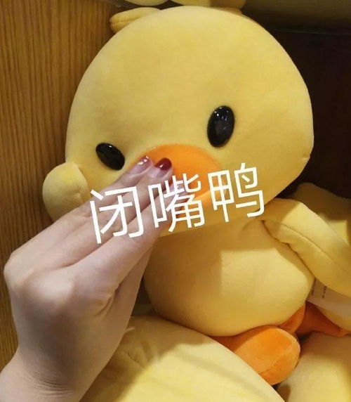  paperpass检查是30,知网会是多少