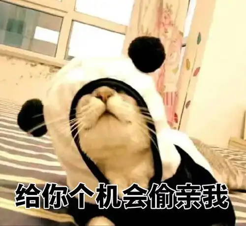  幽默段子笑话上高中住宿舍,那会痴迷武侠小说,每天看到半夜