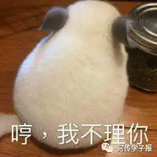 嘎了表情包