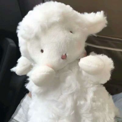  小羊咩咩咩