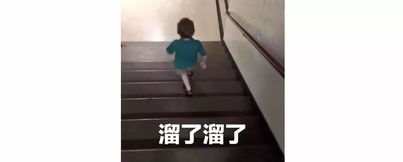  2017年最火表情包,承包了这一年所有笑点