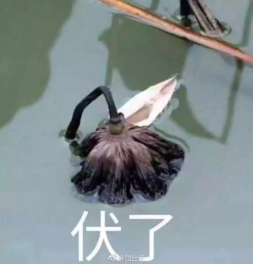  我最好的兄弟要结婚了...