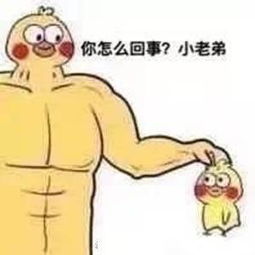  鹦鹉兄弟系列表情包你怎么回事小老弟
