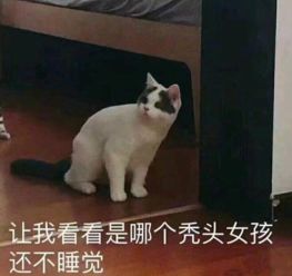 睡不着的图片表情包秃头