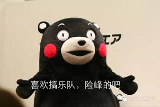  朋友,你做vc的吧