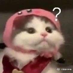  收藏夹