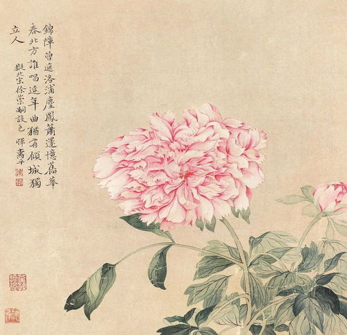  恽寿平没骨花鸟画有一种清,是清逸,是清雅,是清净画家网易订阅
