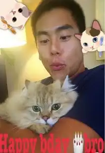  彭于晏33岁生日舒淇送祝福拍萌照被猫抢镜