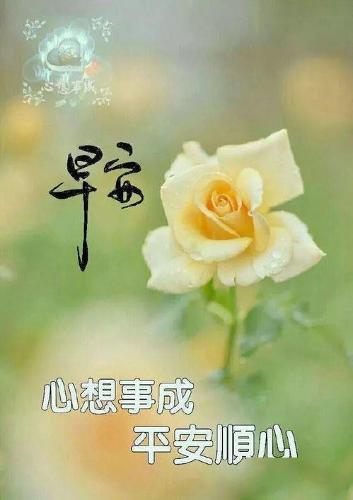 早安的表情包微信清晨