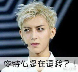  为你私人定制的资讯客户端yidianzixun.com两岸表情包大战黄子韬亮瞎了帝吧出征fb打台独表情包撕逼蔓延
