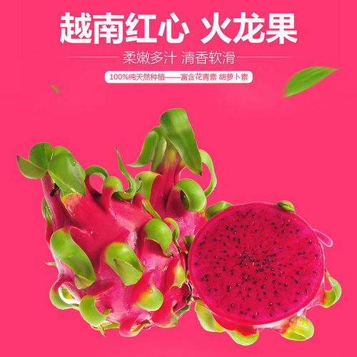  越南红心火龙果新鲜当季热带水果5斤进口白心批发