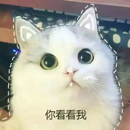  新盘首付利率成交连续助攻,扬州楼市迫不及待地升温了