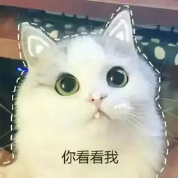  新盘首付利率成交连续助攻,扬州楼市迫不及待地升温了
