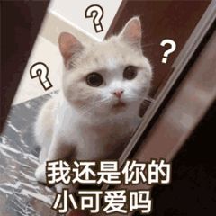  猫和狗谁更适合做表情包