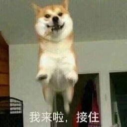  没了解过云中君的,戳这里,让你更容易摸透他
