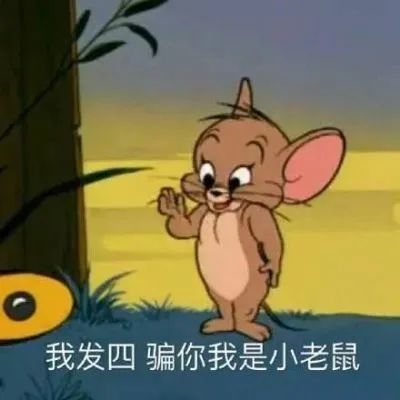  qq空间沙雕又搞怪的文案