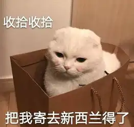  王源远赴新西兰拍戏,粉丝最担心的还是防晒问题