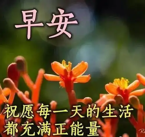  早安快乐祝福语录带字图片,早晨好阳光祝福图片微信带字带表情