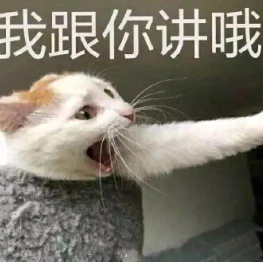  中年男团飞轮河之间的爱恨情仇