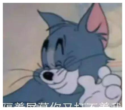  你表情包太多,不想和你聊了