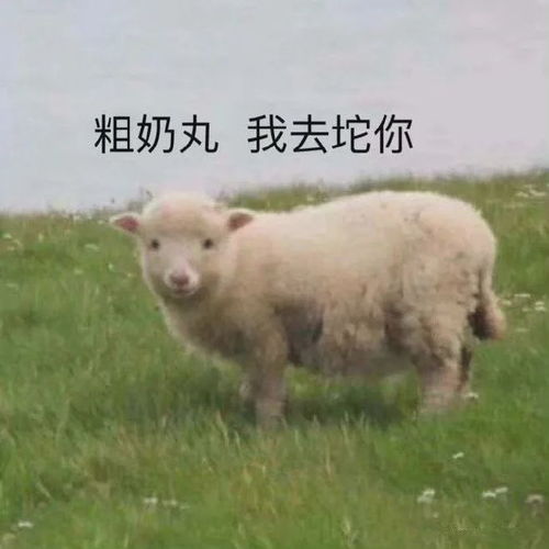  看到女主持美腿枪压不住了小超梦做客平台观赛场出糗事
