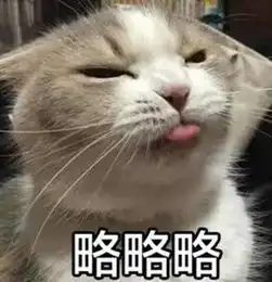  小猫咪卖萌表情我受到惊吓了,需要亲亲抱抱才能起来