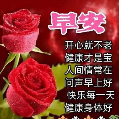  2023最新早晨好早上好漂亮问候祝福图片头像