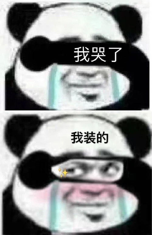  世界上只有一个性取向,那就是心之所向