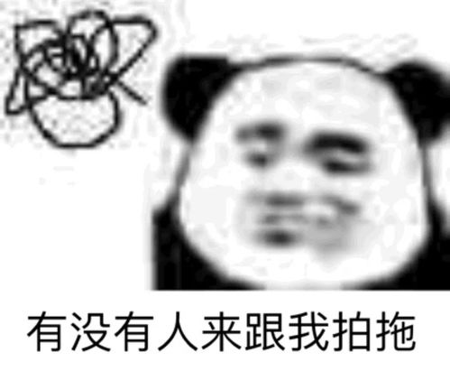 你有莫有什么关于拍一拍的表情包
