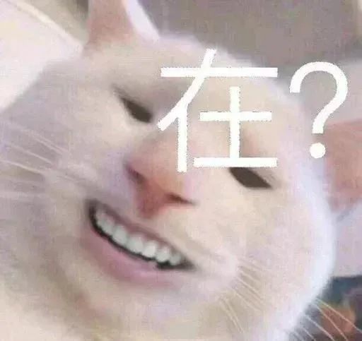 鼓掌表情包图片大全沙雕