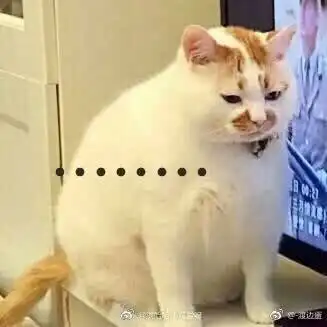 那我不要了表情包猫咪