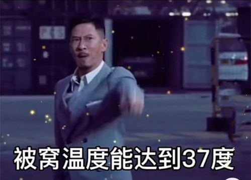  我想走近科学表情包下载听说你们女生被窝温度能达到37度我不信有啥科学依据没我想走近科学表情包图片下载v1.0嗨客手机站