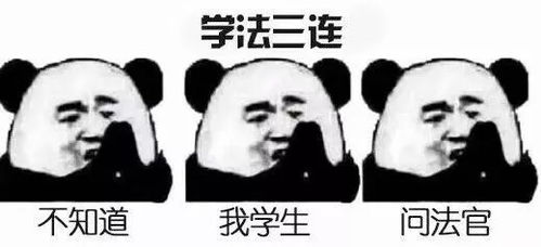  你经常用的表情包,暴露了你是什么专业