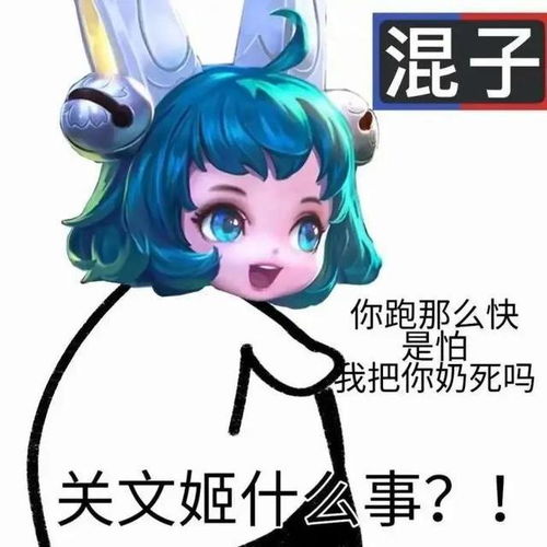  王者荣耀为什么现在还有人质疑蔡文姬全法