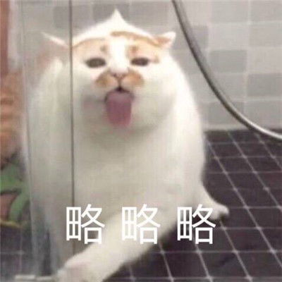  不会相信你的鬼话让你收获好心情的搞怪表情包